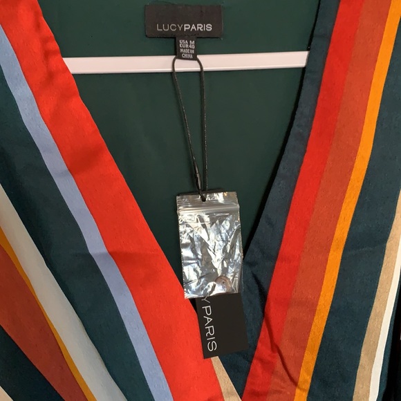 NWT Lucy Paris Bethany Stripe Wrap Dress - Picture 7 of 7